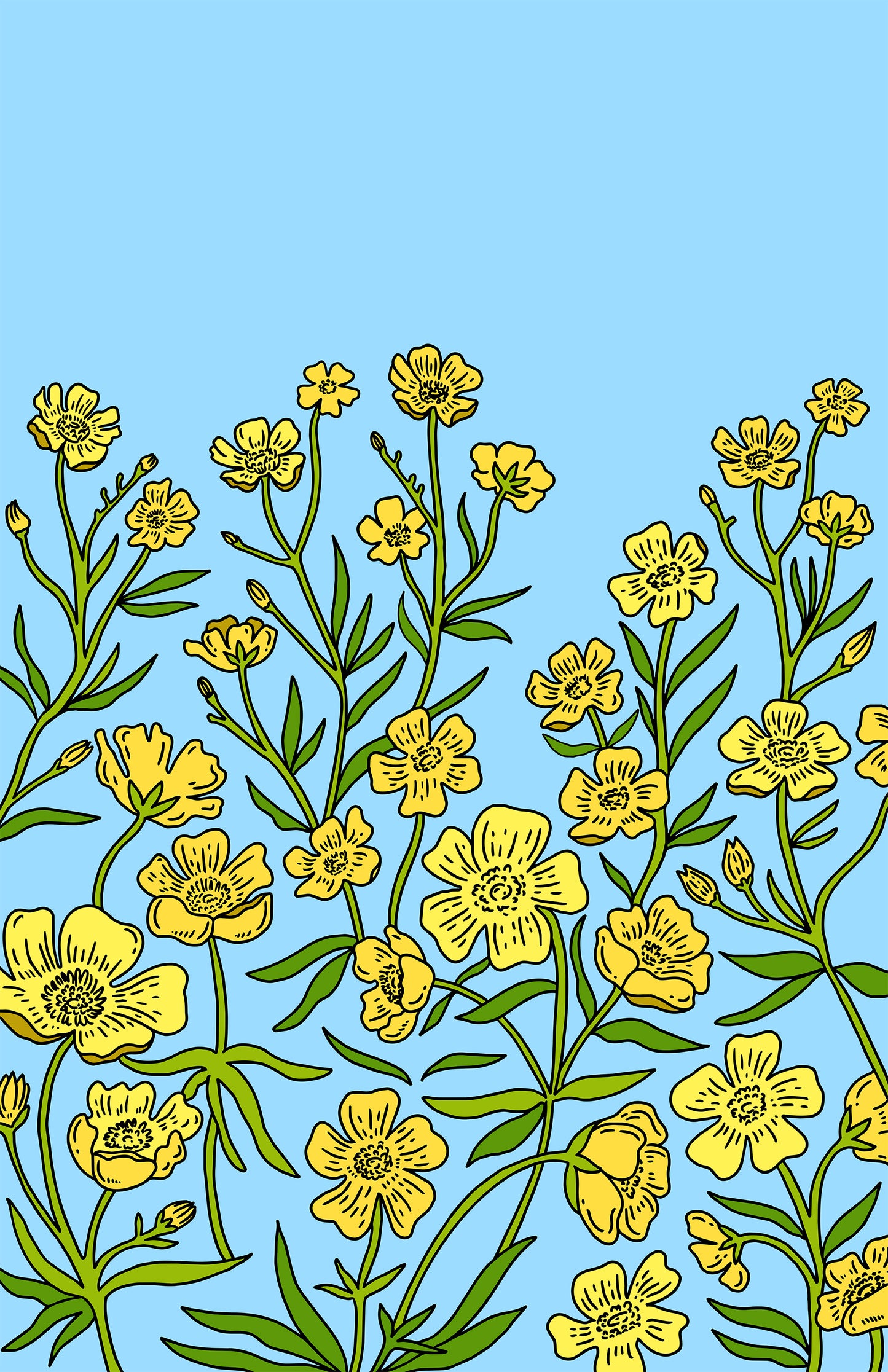 Buttercups under Virgo Print