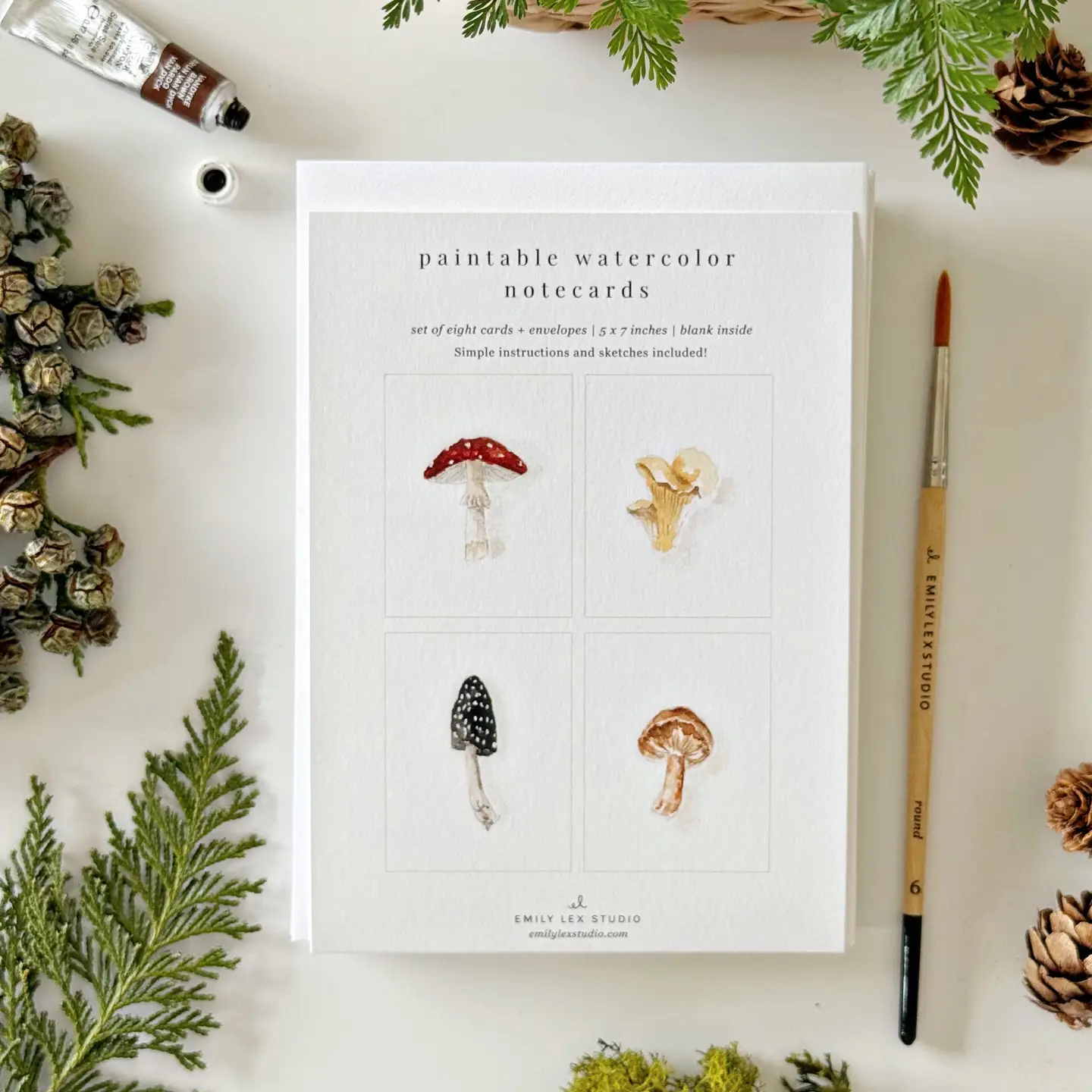 Emily Lex Studio Paintable Notecards