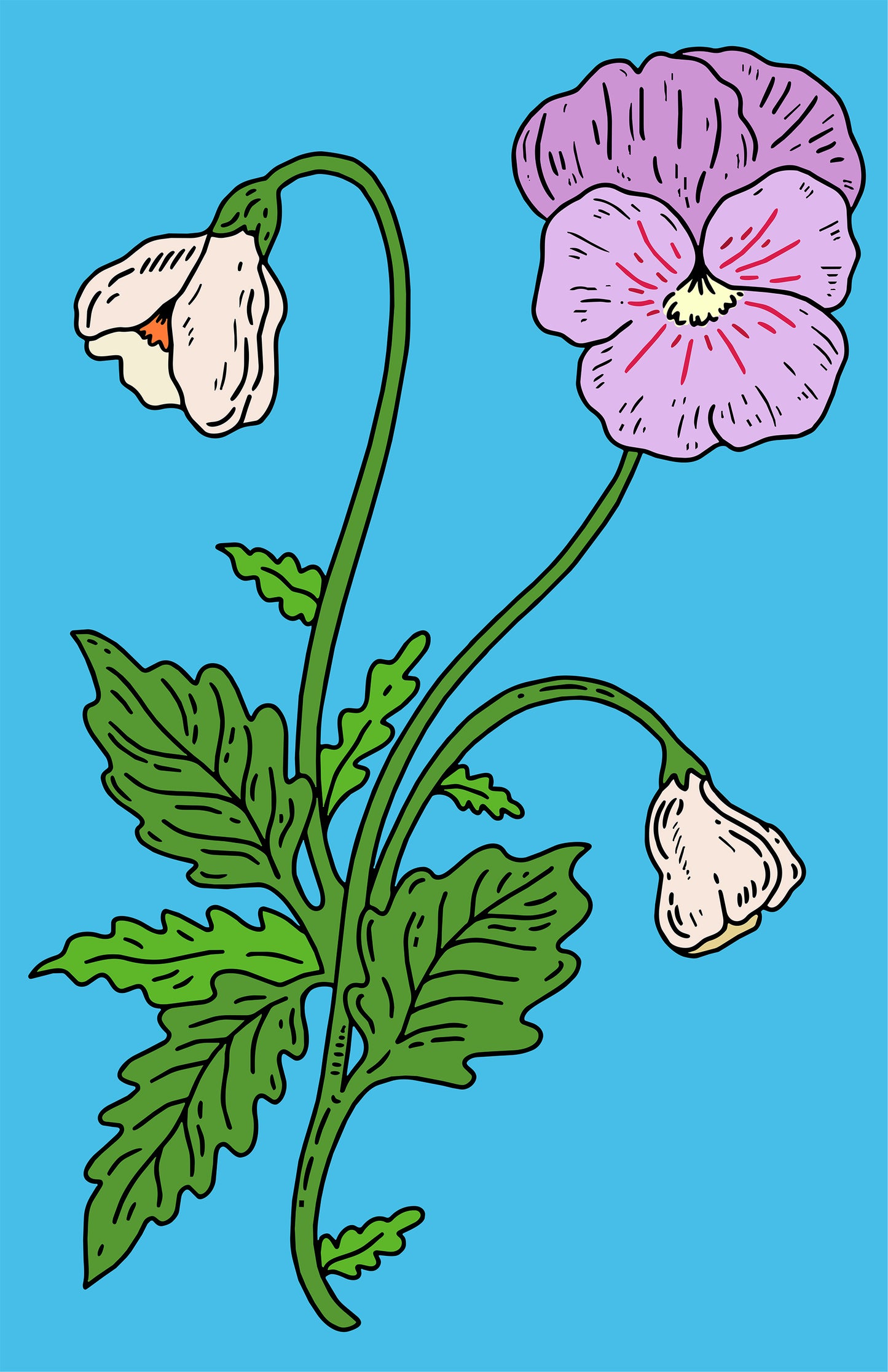 Capricorn Pansy Print