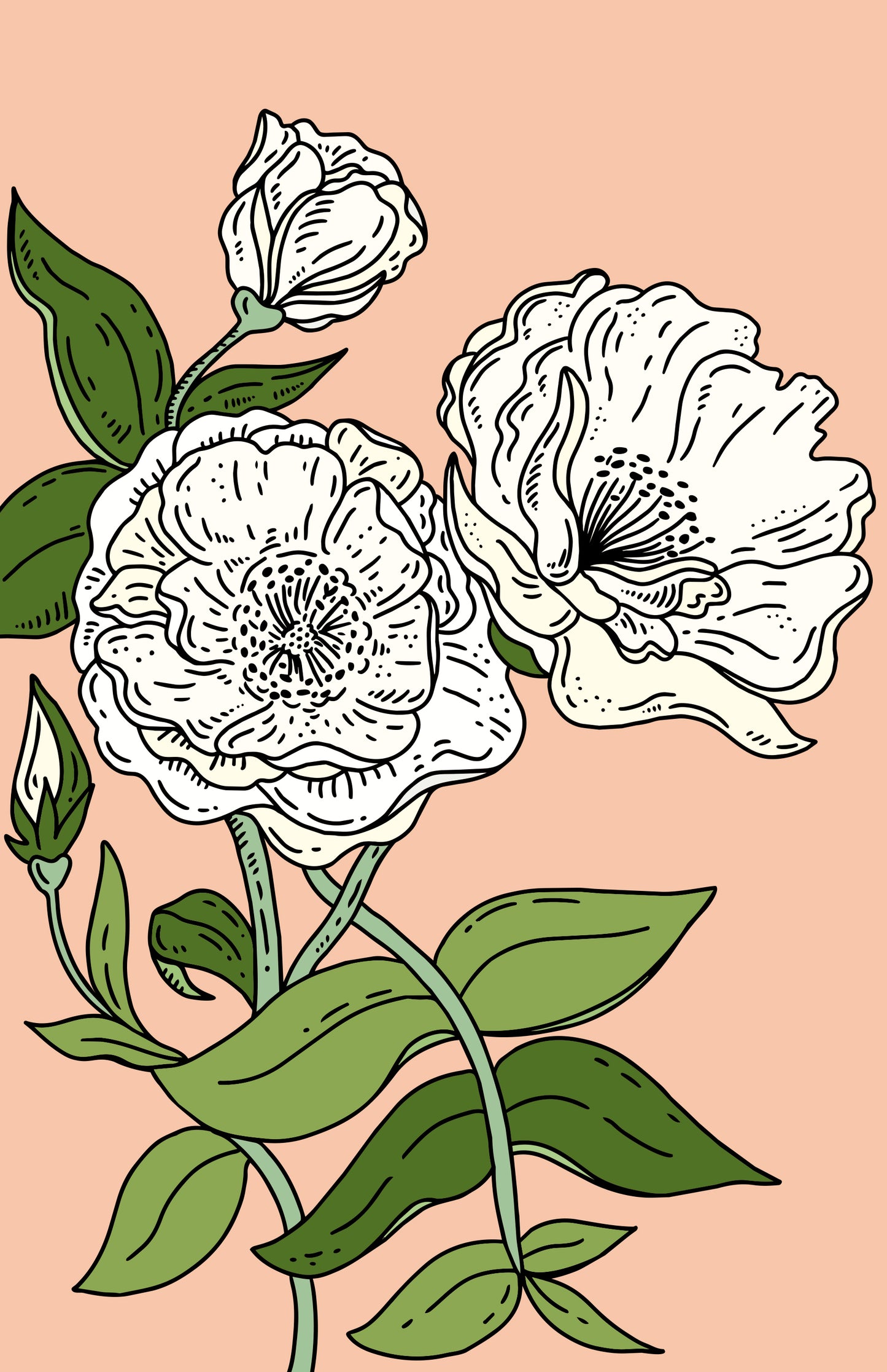 White Roses Botanical Print