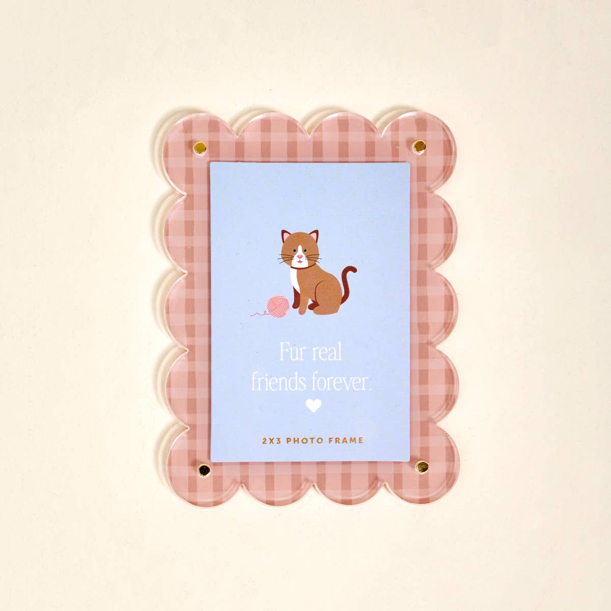 The Darling Effect - Mini Acrylic Picture Frame Magnet - Cool Cat