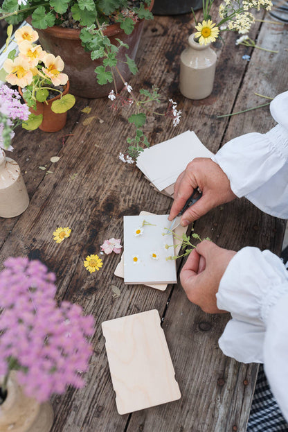 Studio Wald - Pocket Flower Press - Forget Me Not
