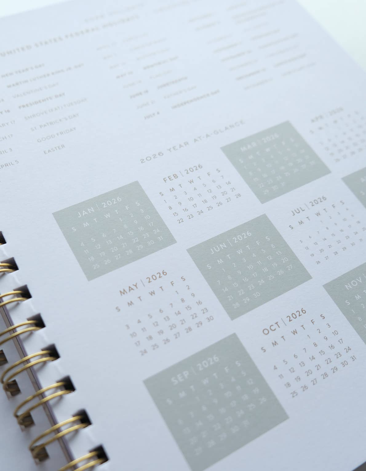 Idlewild Co. 2026 Primary Blooms Softcover Planner