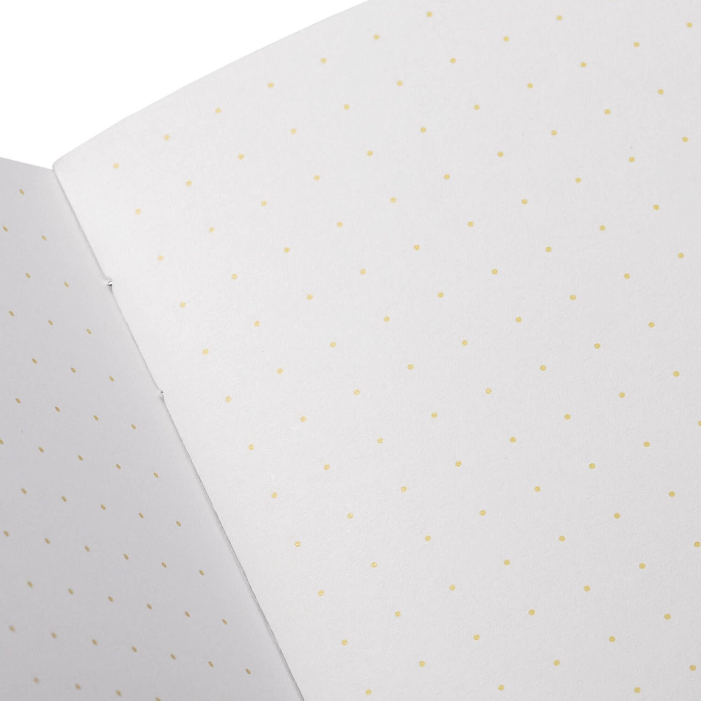 Field Notes - Paletas 3-Packs