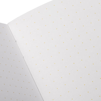 Field Notes - Paletas 3-Packs