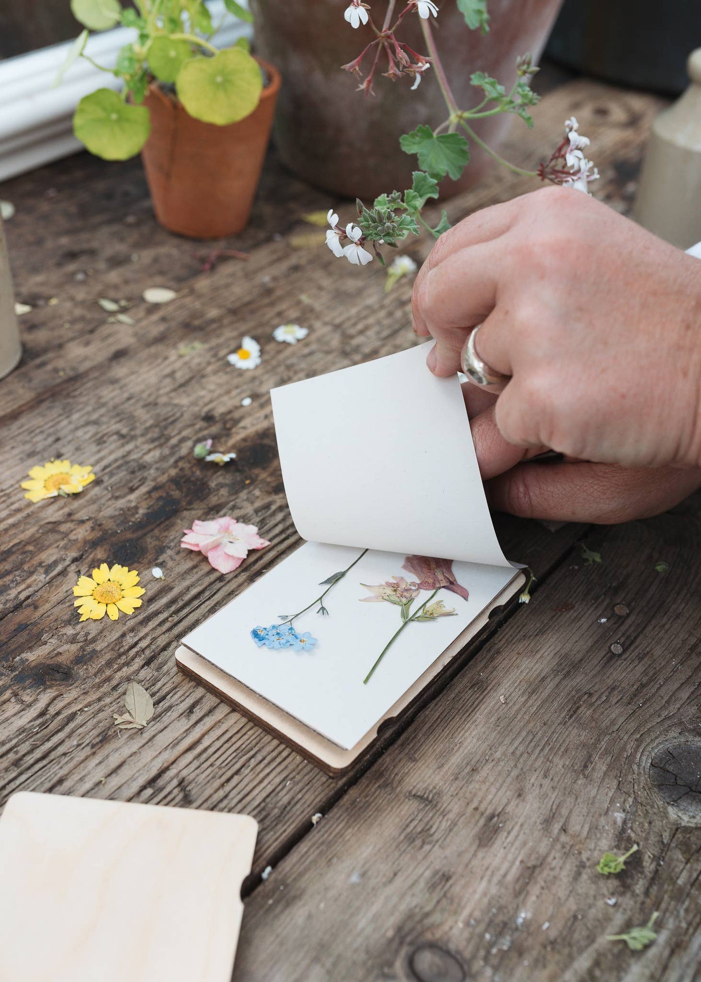 Studio Wald - Pocket Flower Press - Forget Me Not