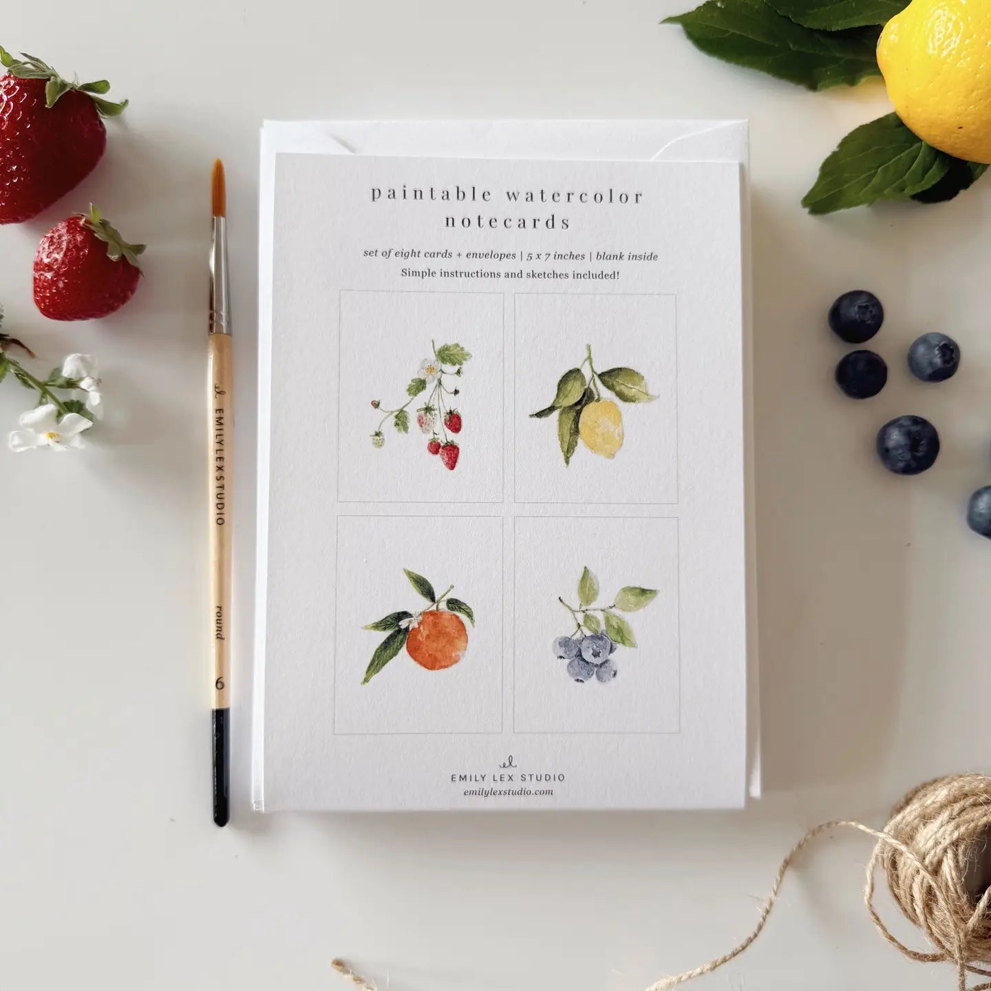 Emily Lex Studio - Paintable Notecards