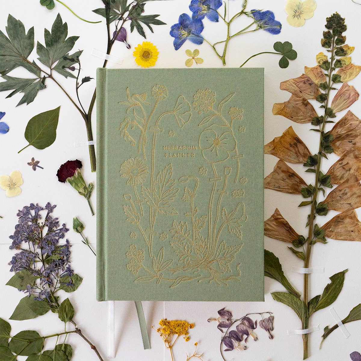 Botanica Paper Co. Herbarium Linen-Bound Undated Planner