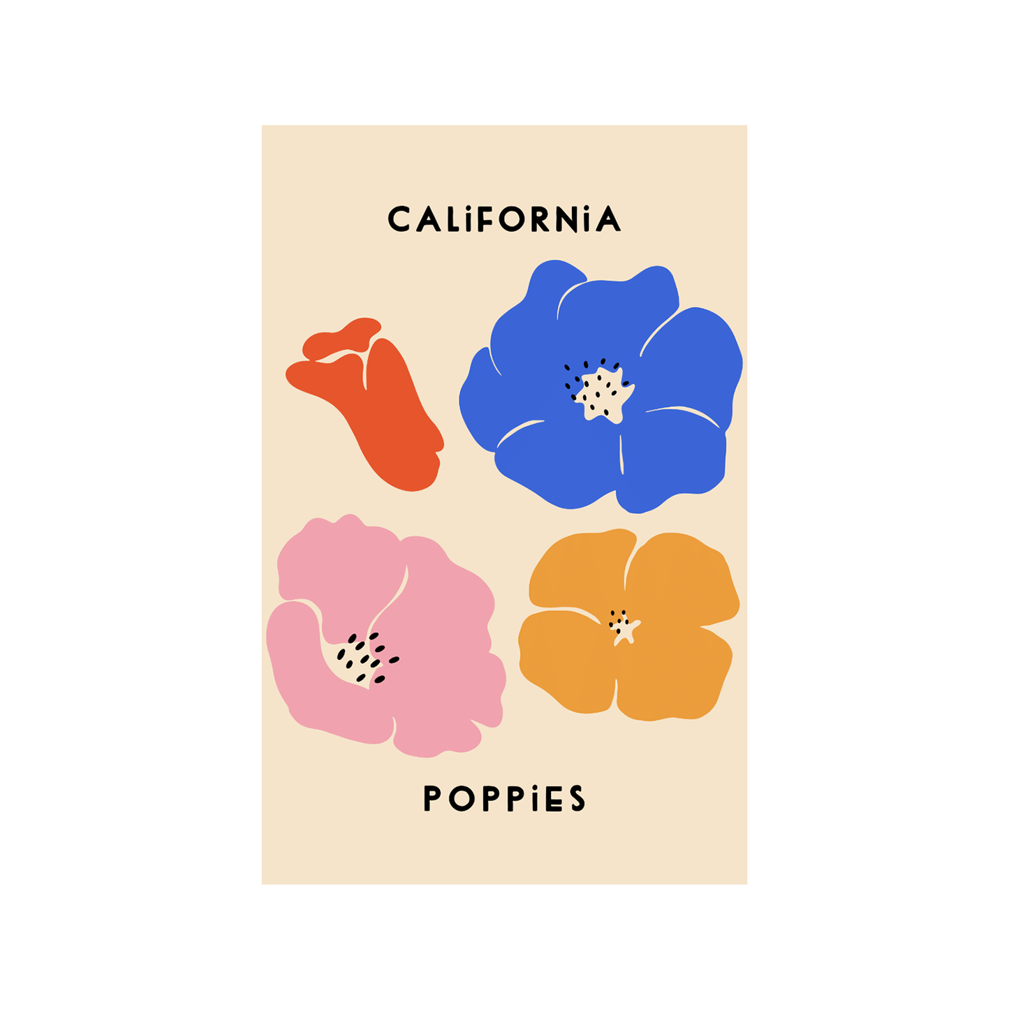 California Poppies 13" x 19" Print