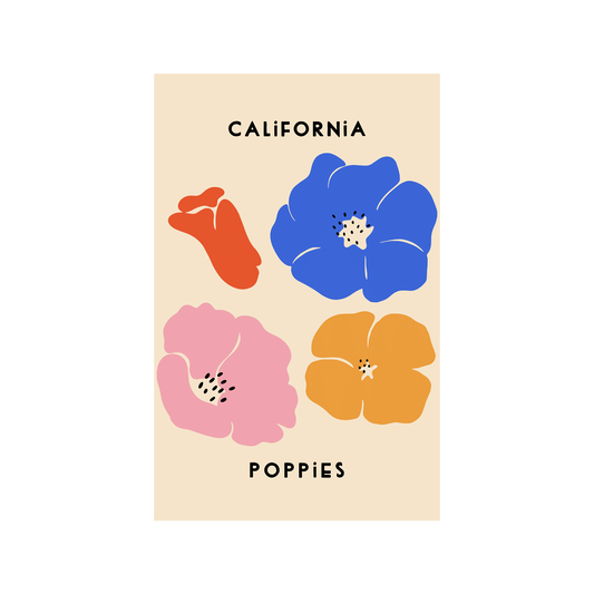 California Poppies 13" x 19" Print