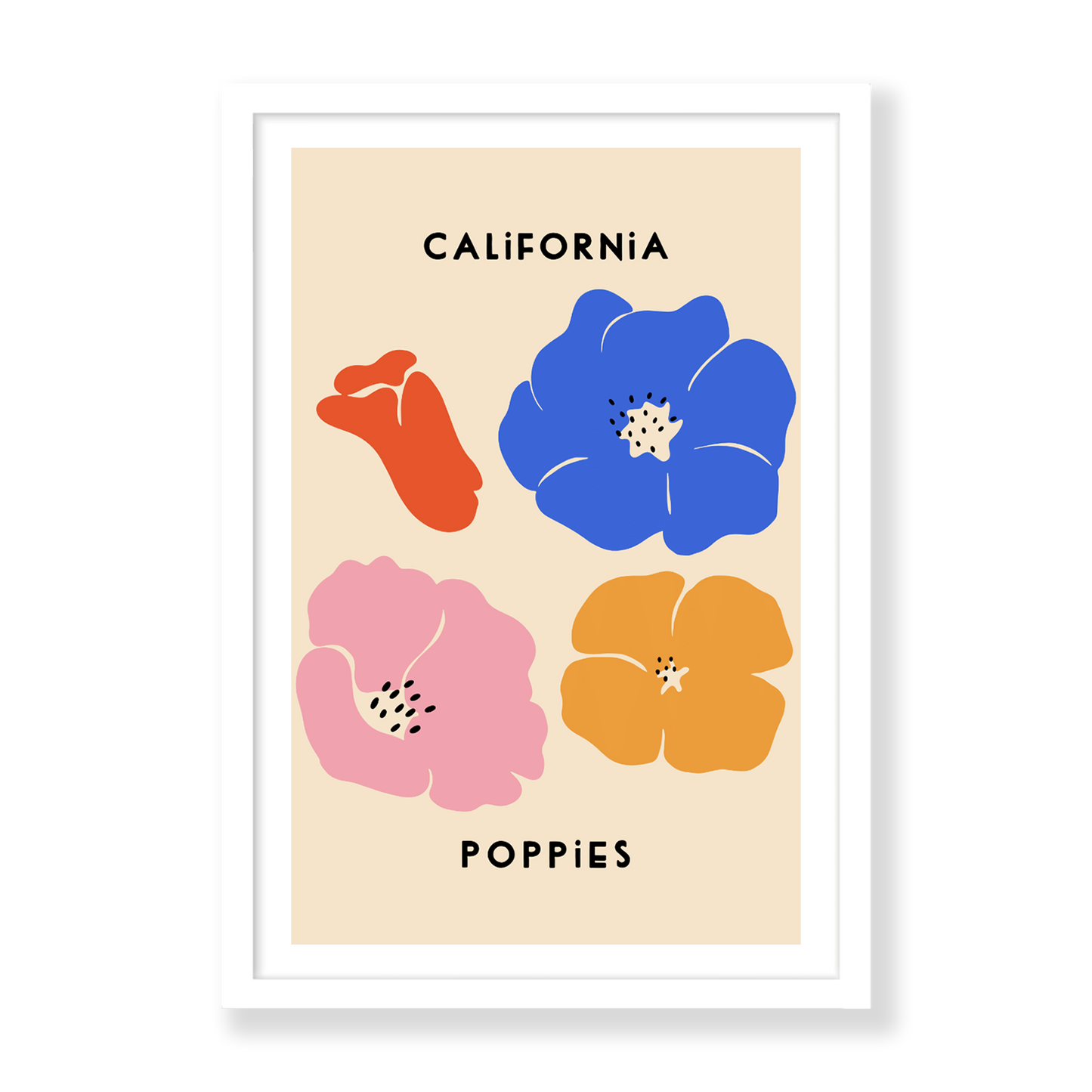 California Poppies