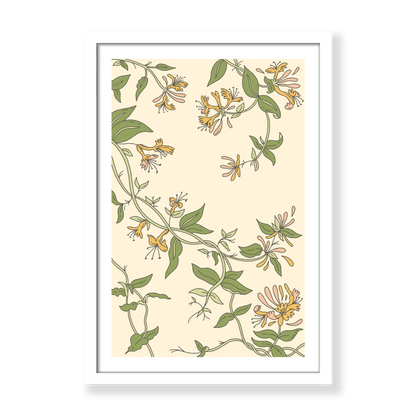 Honeysuckle in Aries