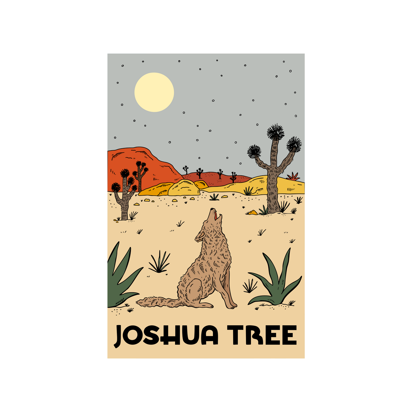 Nightfall In Joshua Tree