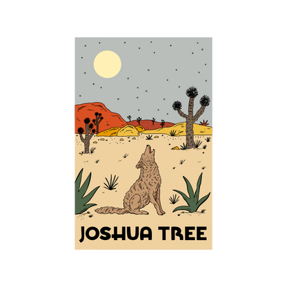 Nightfall In Joshua Tree