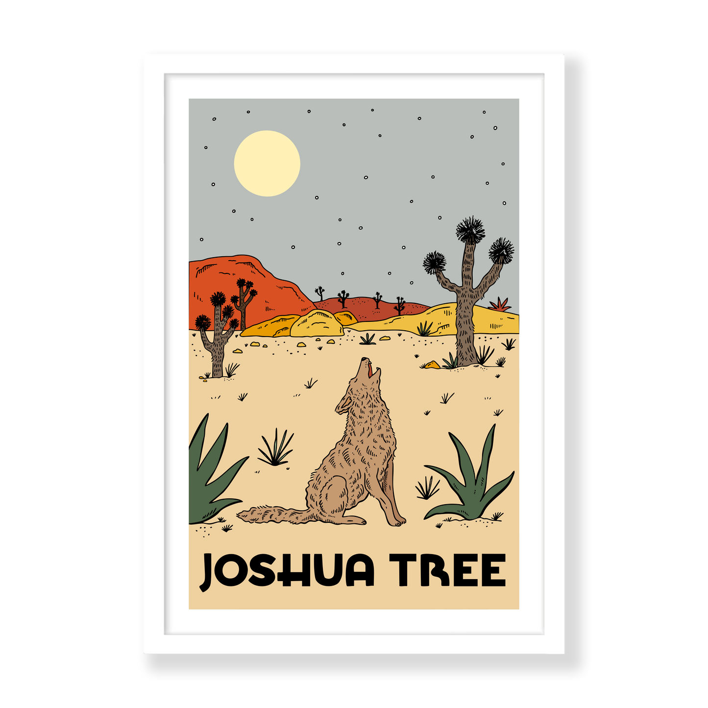 Nightfall In Joshua Tree
