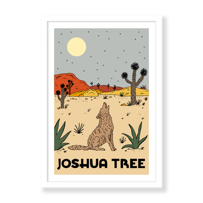 Nightfall In Joshua Tree