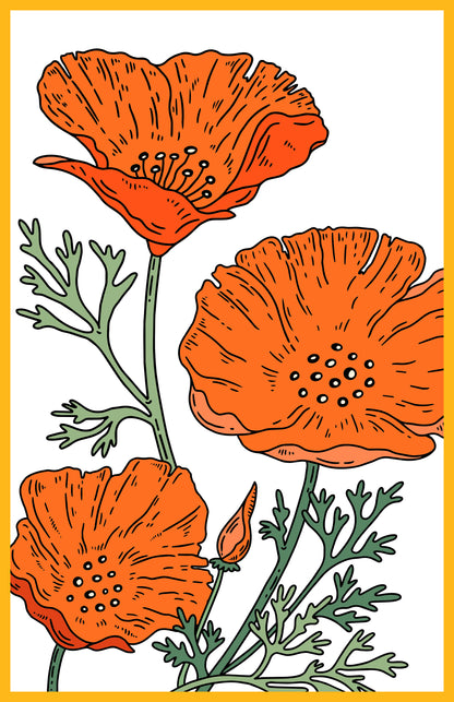 Summer Poppies Print