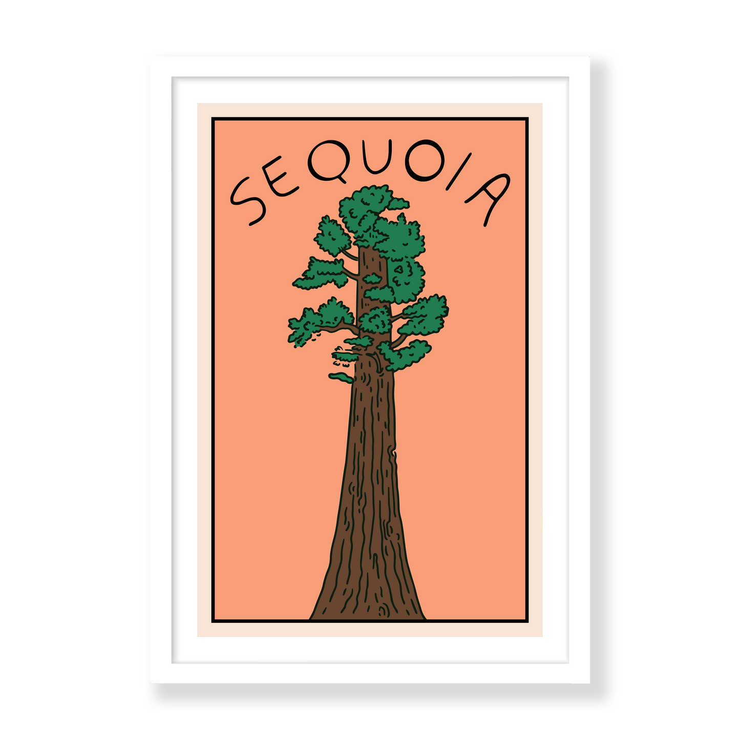 Sunset In The Sequoias