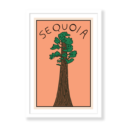 Sunset In The Sequoias