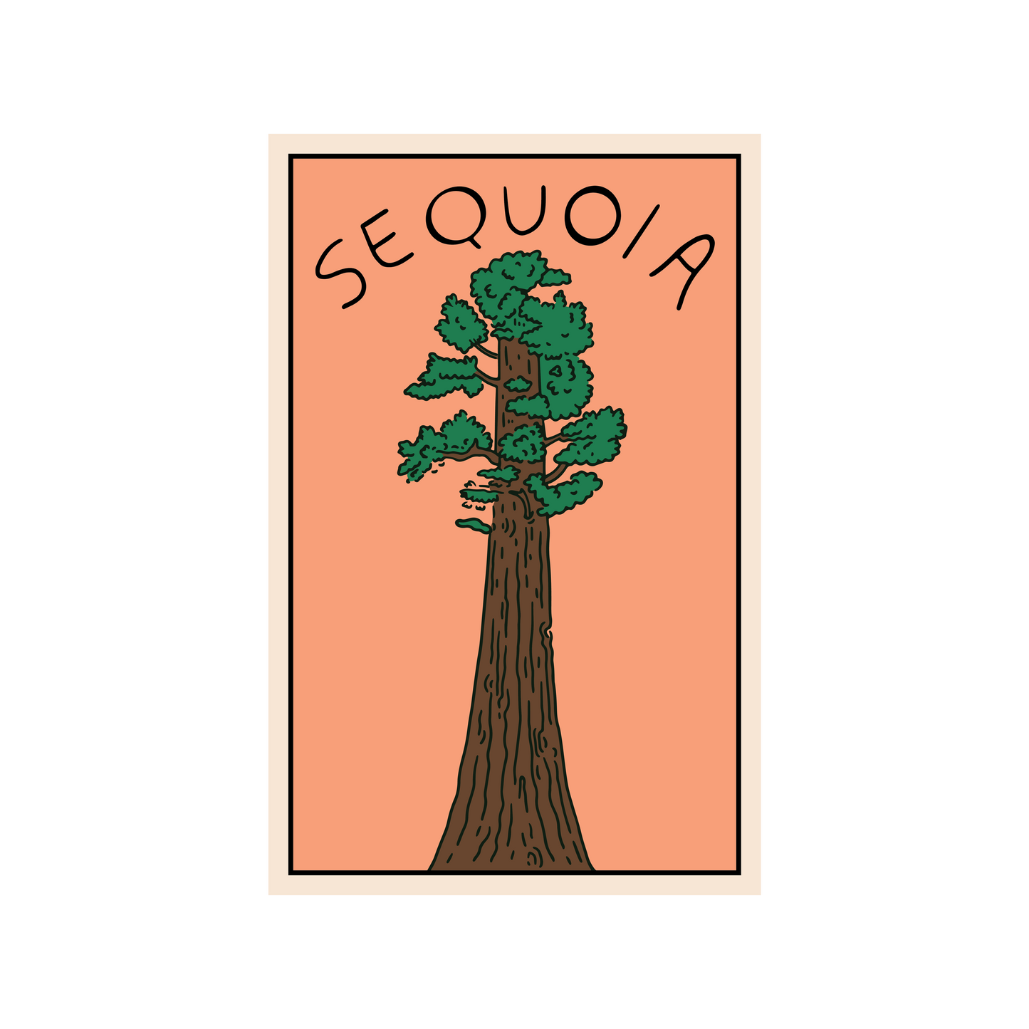 Sunset In The Sequoias