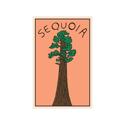 Sunset In The Sequoias