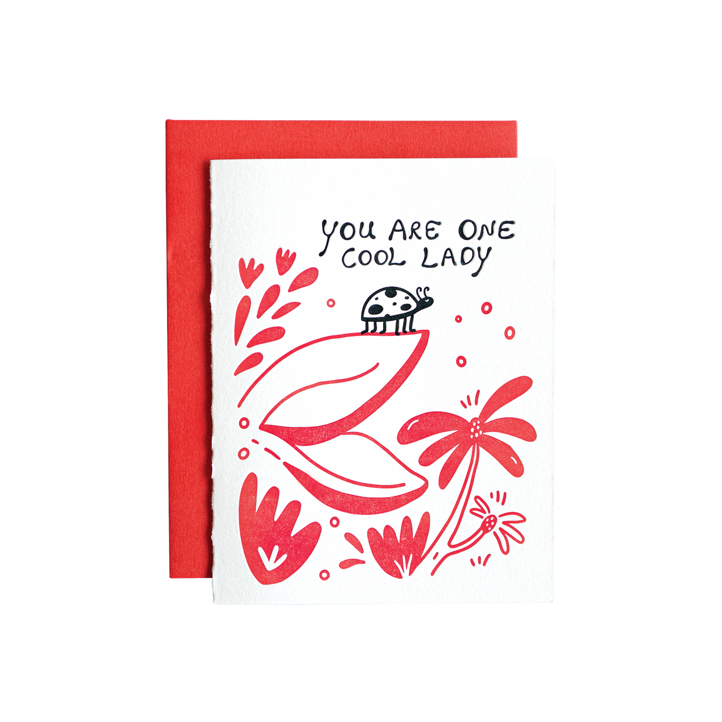 Cool Ladybug Card