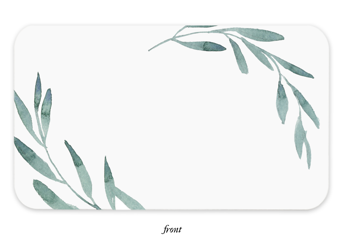 E. Frances Paper Olive Branch Little Notes®