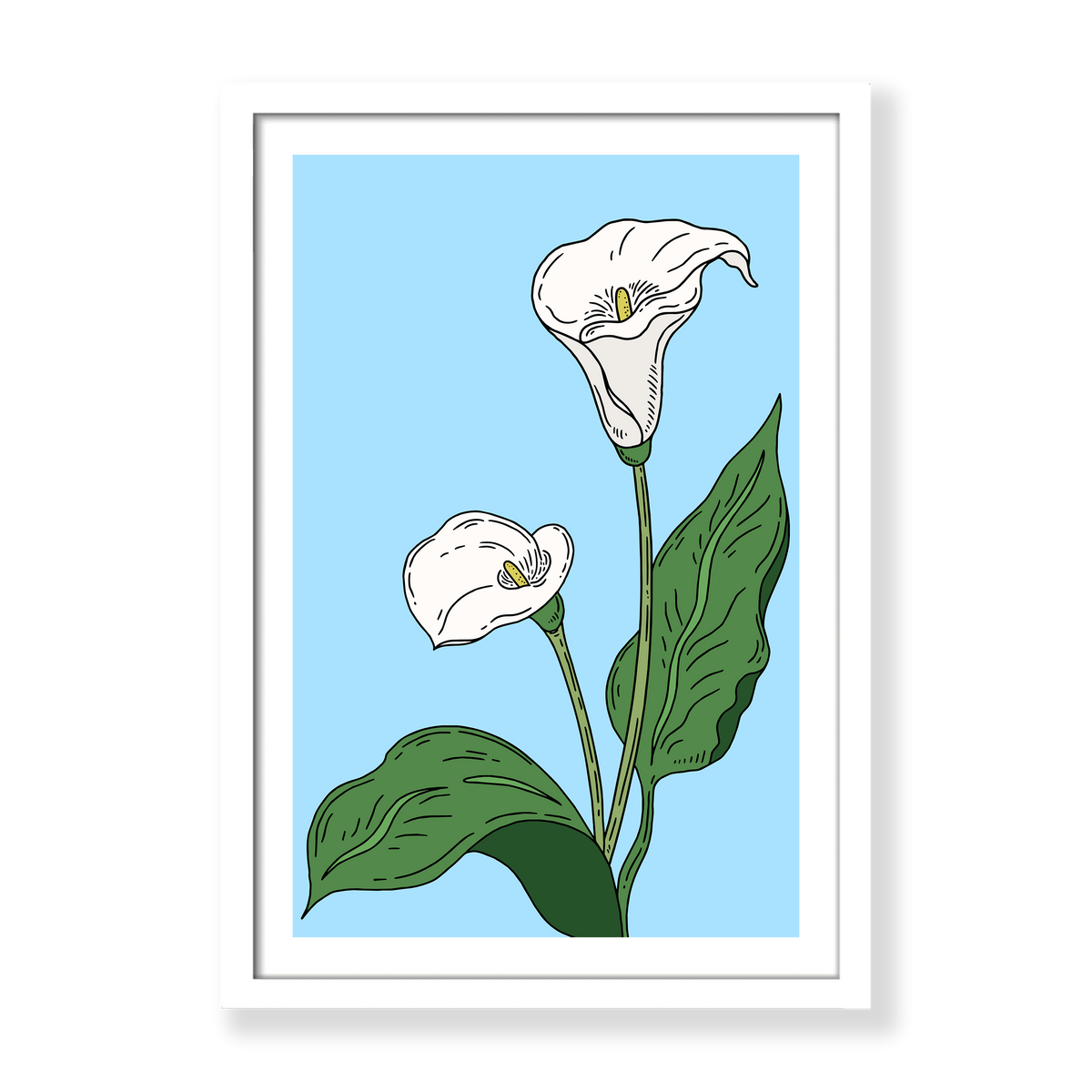 Calla Lilies in Summer Print