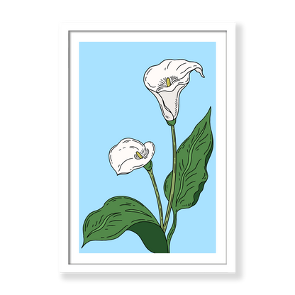 Calla Lilies in Summer Print