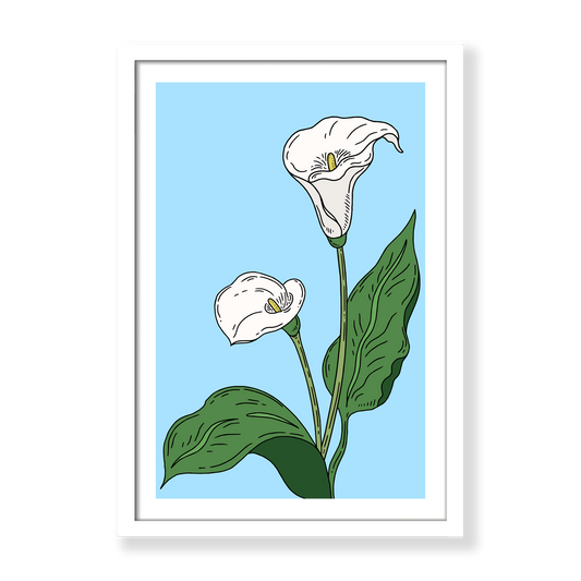 Calla Lilies in Summer Print