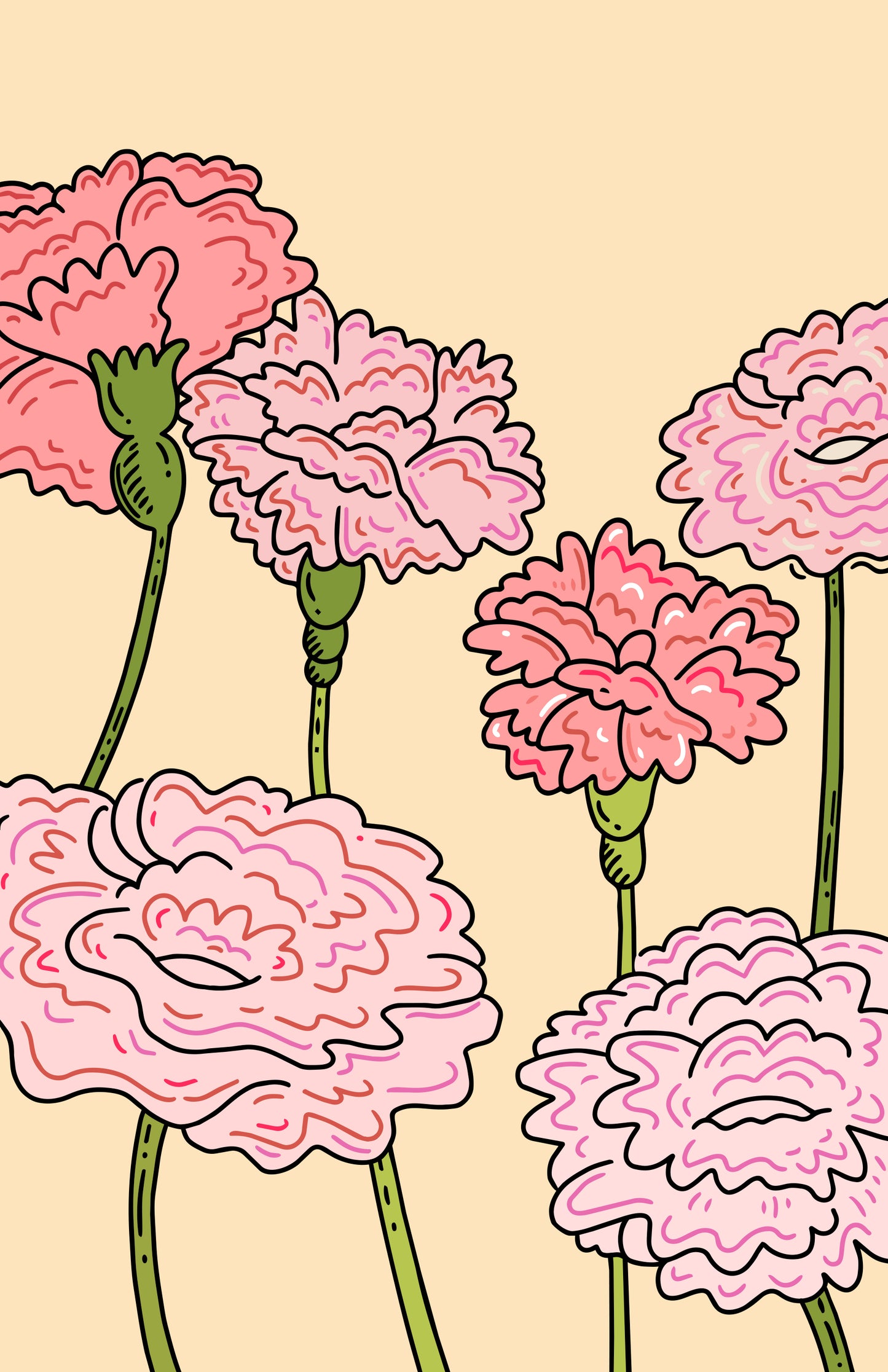 Pink Carnations Print
