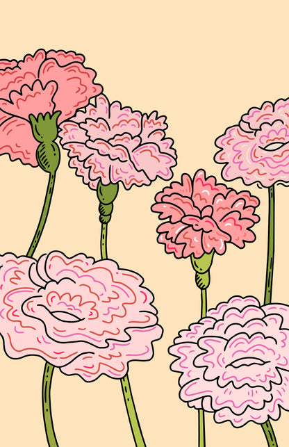Pink Carnations Print