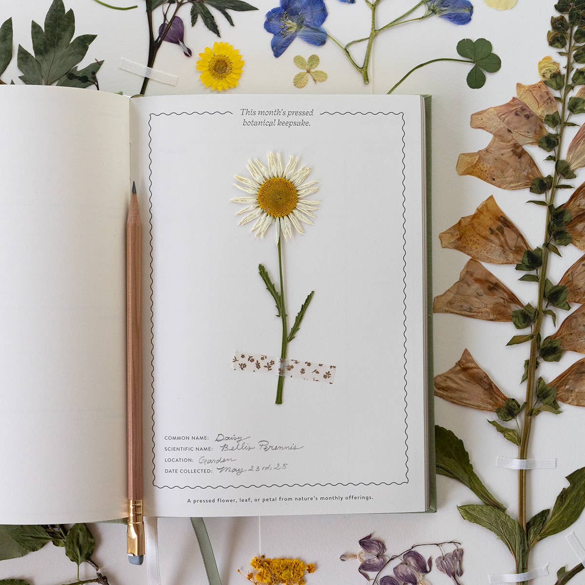 Botanica Paper Co. Herbarium Linen-Bound Undated Planner