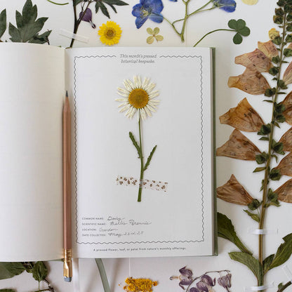 Botanica Paper Co. Herbarium Linen-Bound Undated Planner