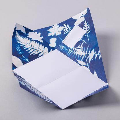 Pigeon Posted - Letter Pack - Apothecary