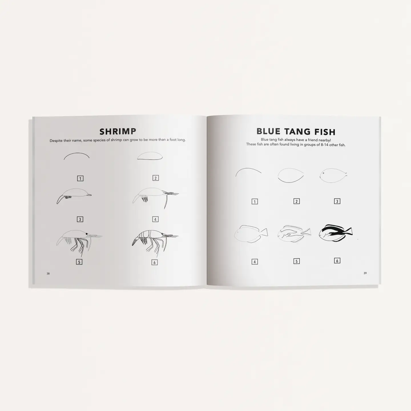 Paige Tate & Co. How to Draw - For Kids & Adults