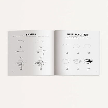 Paige Tate & Co. How to Draw - For Kids & Adults