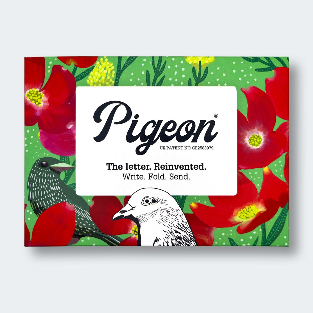 Pigeon Posted Letter Pack - Dusk To Dawn
