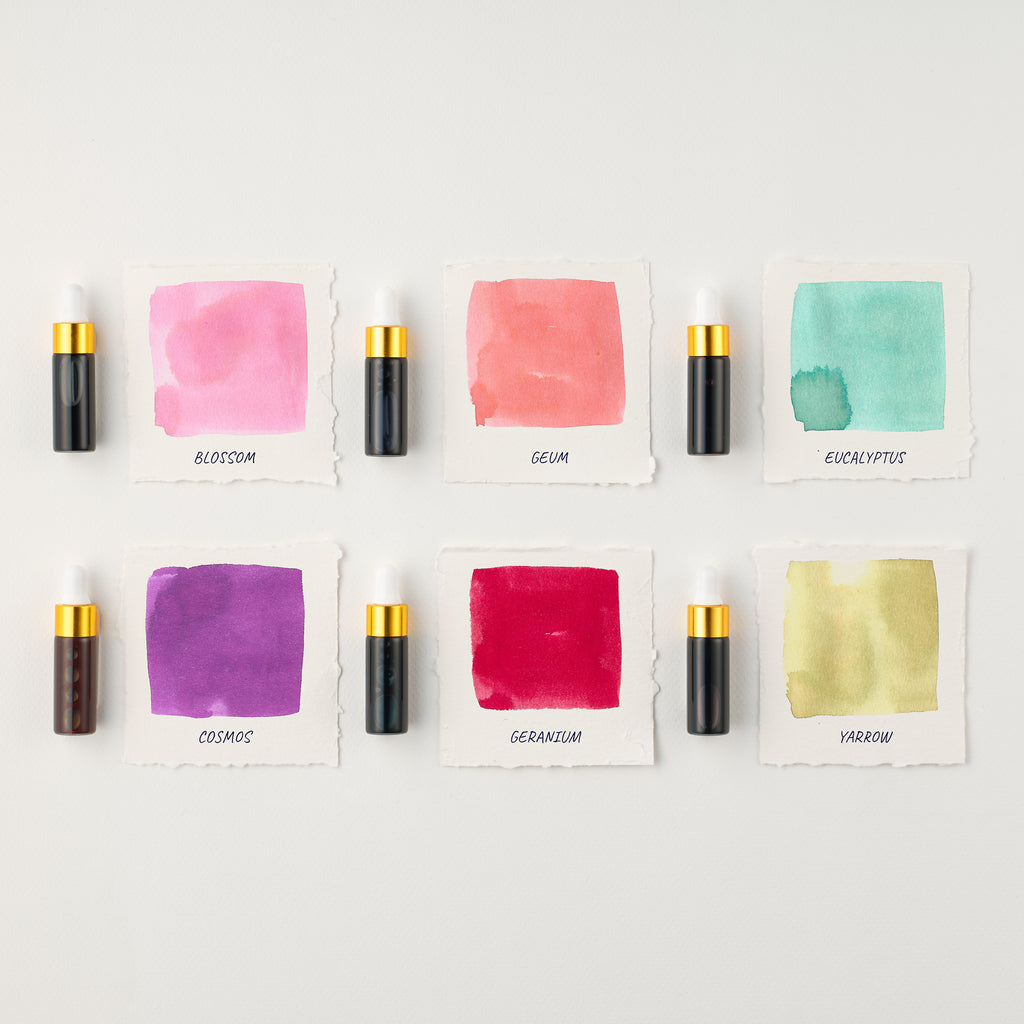 Tom's Studio - Mini Ink Collection - Sakura