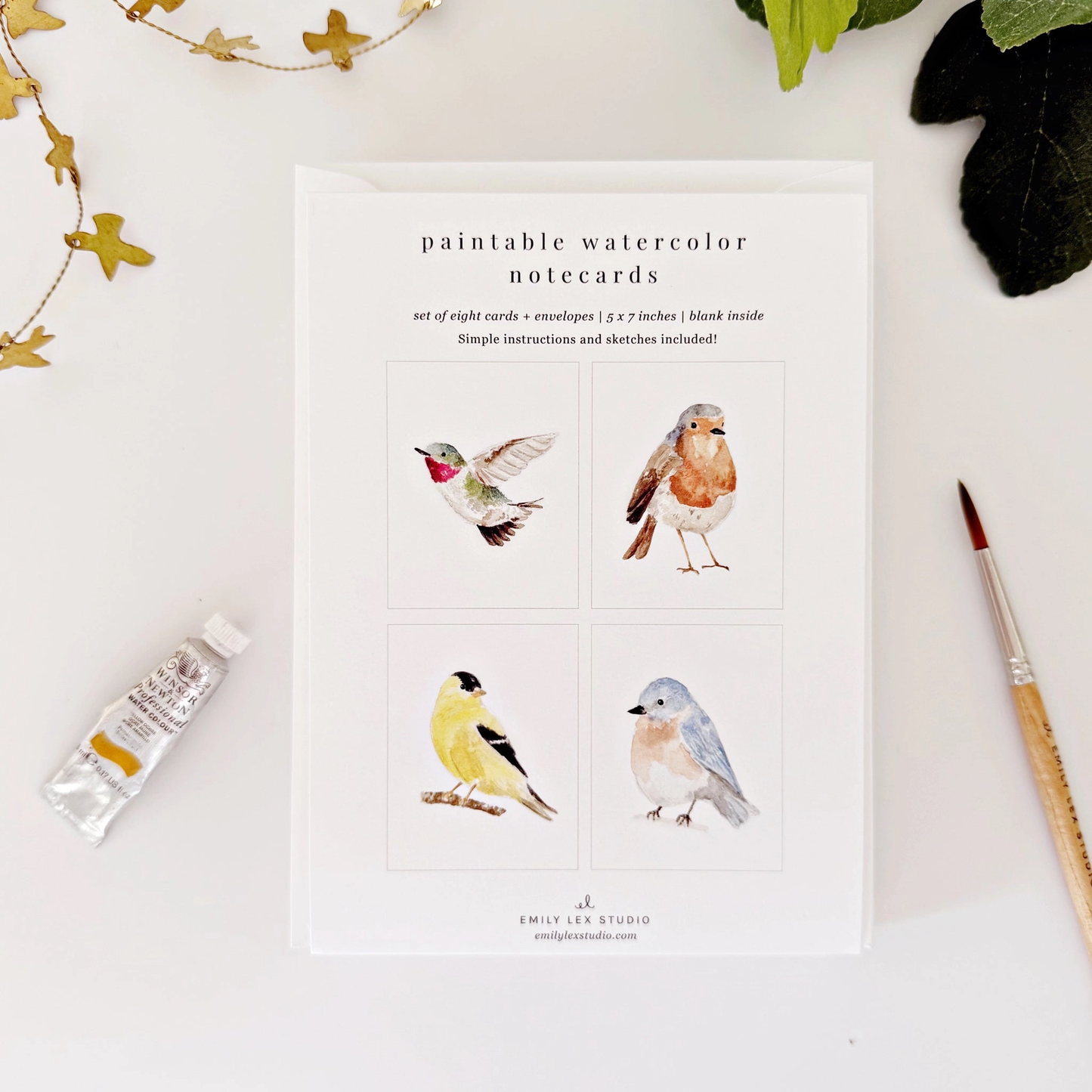 Emily Lex Studio - Paintable Notecards