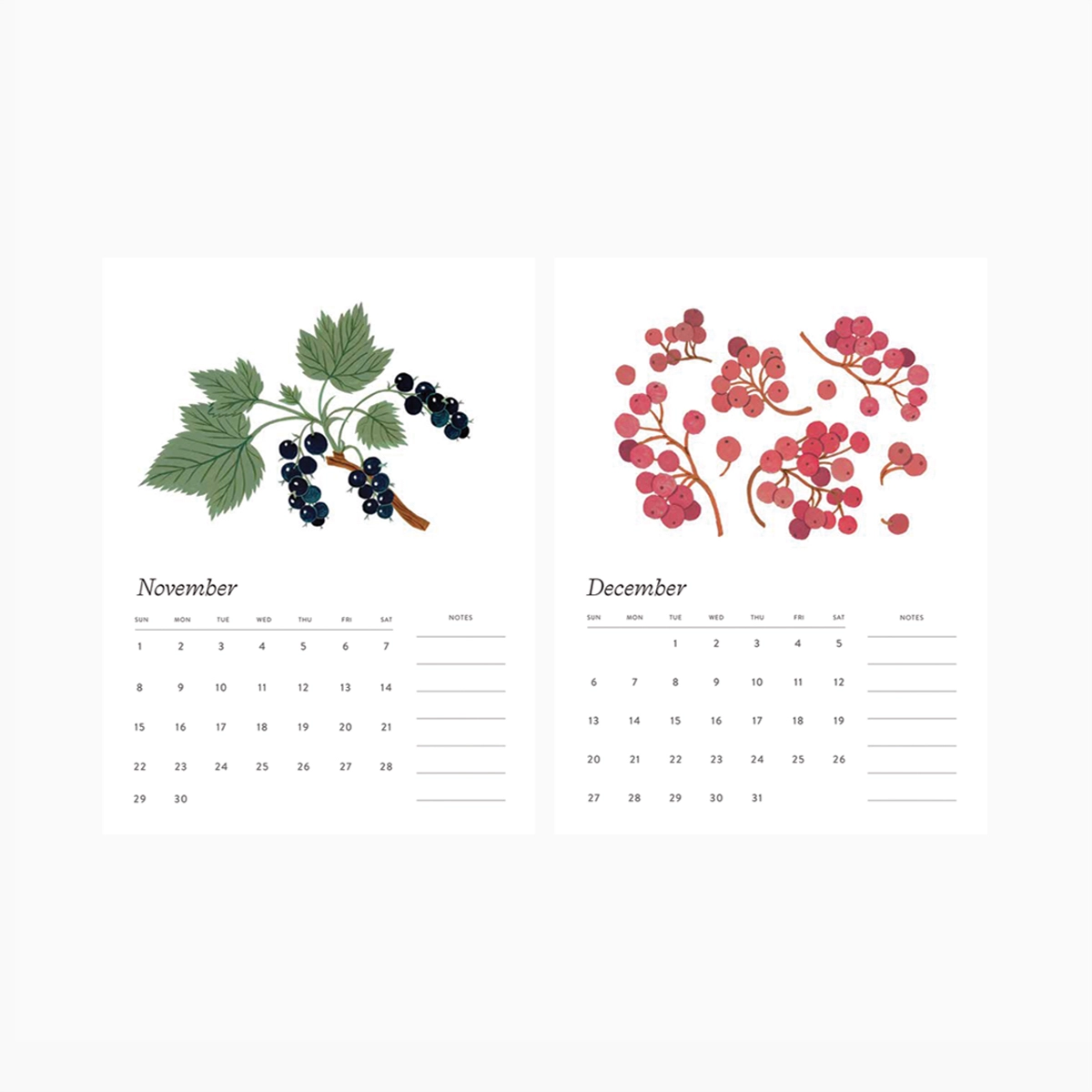 Botanica Paper Co. - 2026 Botanical Art Desk Calendar