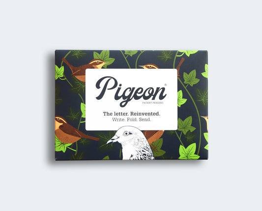 Pigeon Posted Letter Pack - Robin & Wren