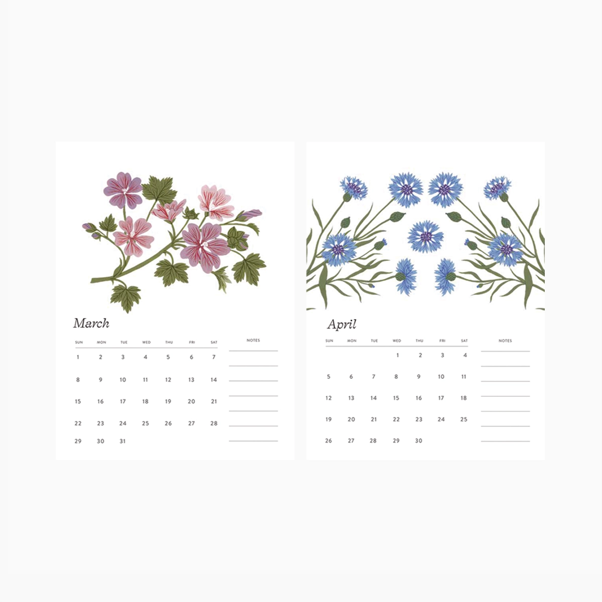 Botanica Paper Co. - 2026 Botanical Art Desk Calendar