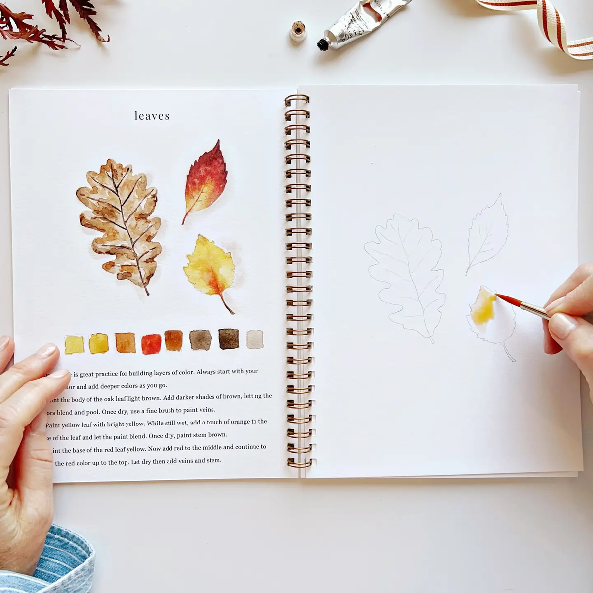 Emily Lex Studio - Watercolor Workbooks - Seasons