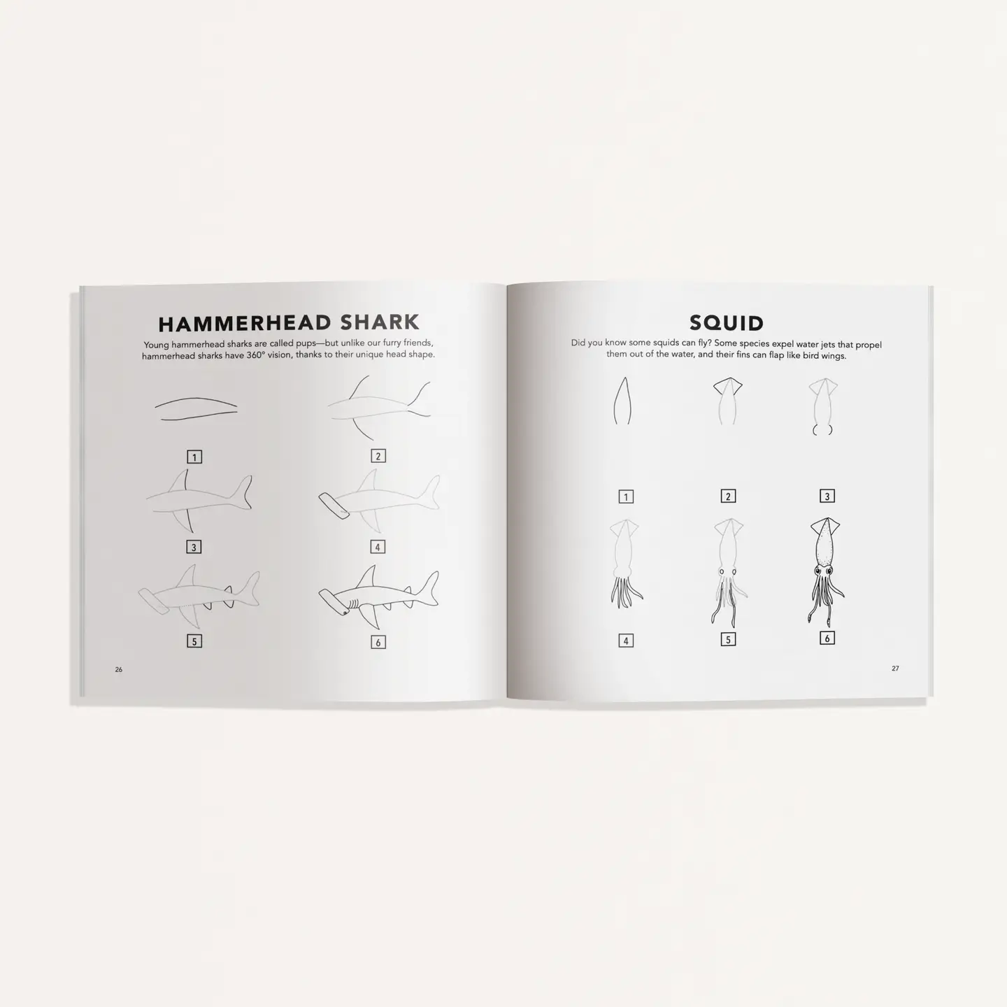 Paige Tate & Co. How to Draw - For Kids & Adults