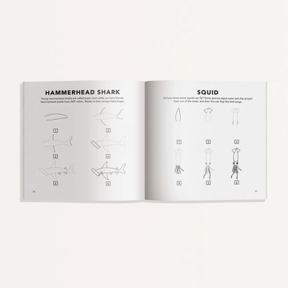 Paige Tate & Co. How to Draw - For Kids & Adults