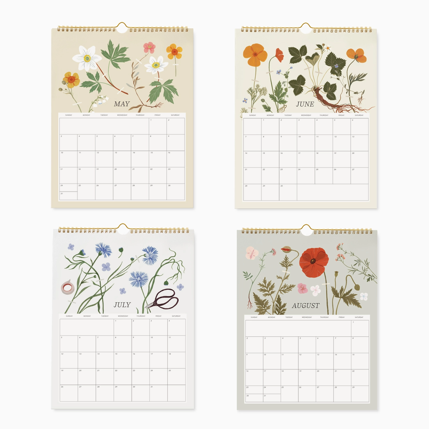 Botanica Paper Co. - 2026 Herbarium Wall Calendar