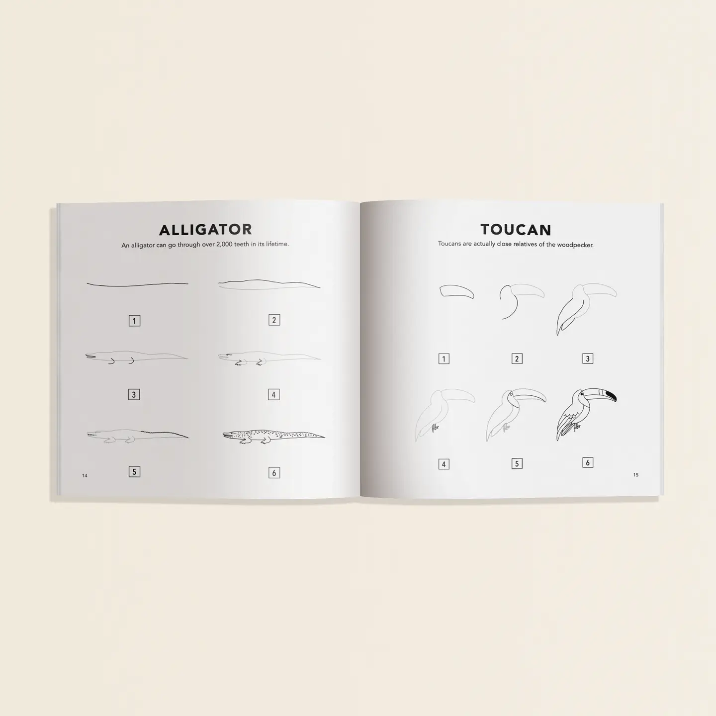 Paige Tate & Co. How to Draw - For Kids & Adults