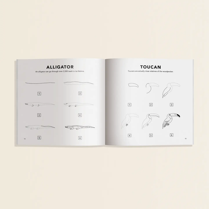 Paige Tate & Co. How to Draw - For Kids & Adults