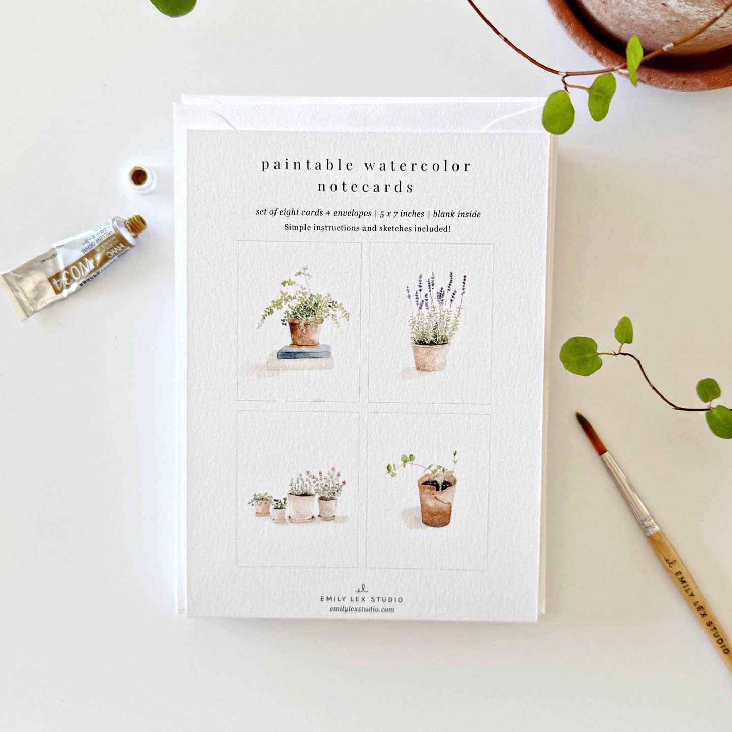 Emily Lex Studio - Paintable Notecards